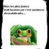 Les histoires de grenouilles