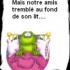 Les histoires de grenouilles