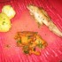 LAPIN AUX GIROLLES