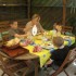 POULET ROTI ET BROCHETTES AU BBQ