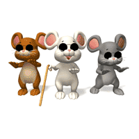 petites souris