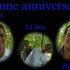 bonne anniversaire
