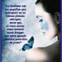 bonsoir a tous !!!!!!!!!!!!!!!