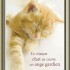 POUR MON DOUX ANGE