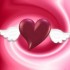 EXCELLENT WEEK END A TOUS !!!!