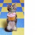 MERCI DES JOLIS KDO§§§§§�