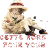 BONNE SOIREE ET UNE DOUCE NUIT