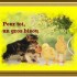 coucou du vendredi a tous §§