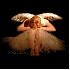 TENDRE SOIREE ET DOUCE NUIT A 
