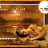 douce nuit a tous