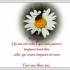 belle journee pour tous !!!!!!