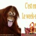 BON WEEK END POUR TOUS