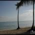 Plage Puntacana