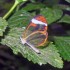 Papillon transparent
