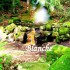 livre "Blanche"