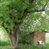 cabane au fond du jardin