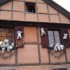 notre voyage en Alsace