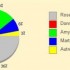 Résultats du grand sondage : 