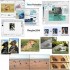 Focus Photo editor & Auto 