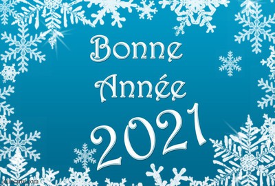 BONNE ANNEE 2021...bonne année à tous