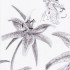 Fée et fleurs