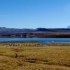 Mono Lake