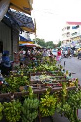 Bananes Marche Phnom Penh