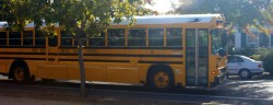 le Bus de ramassage scolaire