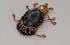 collier scarabée