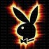 playboy j'adore