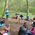 Classes de forêt - Domaine de