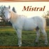 Mistral