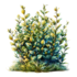 Tubes herbes