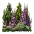 Tubes herbes