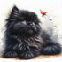 Beaux chats