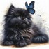 Beaux chats