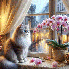 Gifs animaux