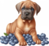 Tubes chiens