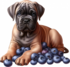 Tubes chiens