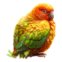 Tubes oiseaux