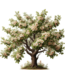 Defis créations