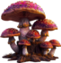 Tubes champignons