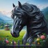 Beaux chevaux