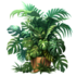 Tubes herbes