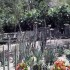 La deuxième merveille: Jardin