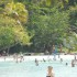 Anse Figuier (Rivière-Pilote)