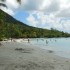 Anse Figuier (Rivière-Pilote)