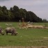 Parc zoologique de Cerza à He