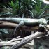 Parc zoologique de Cerza à He