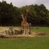 Parc zoologique de Cerza à He